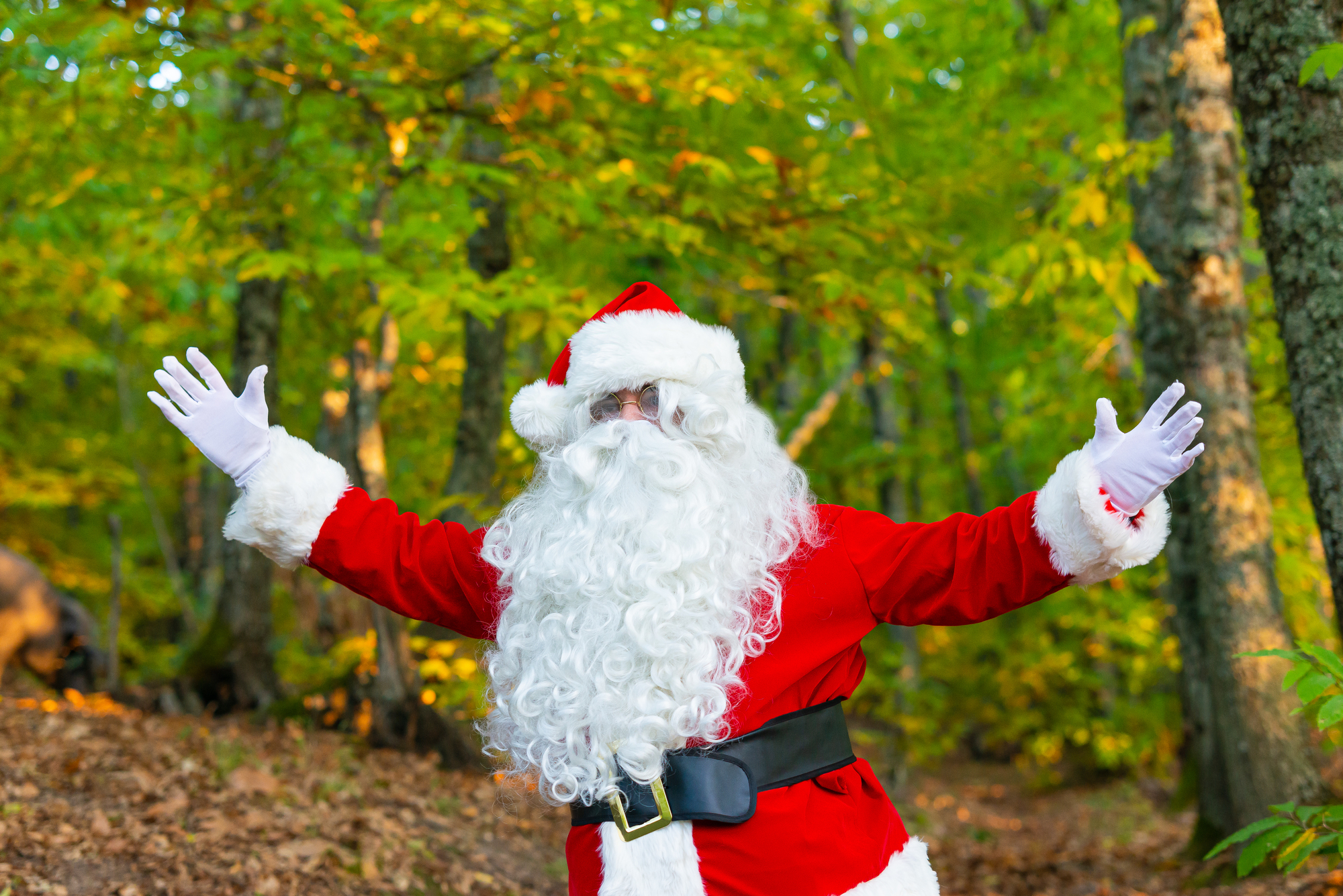 Santa claus in the forest with open arms